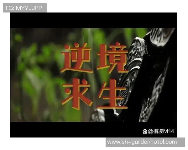 追逐梦想的脚步，巅峰之路永不停歇，勇往直前创造辉煌人生