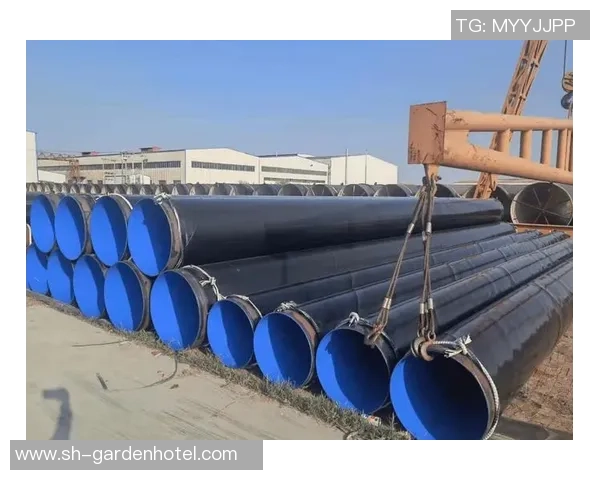 推动龙门国际产业数字化转型助力经济高质量发展新篇章