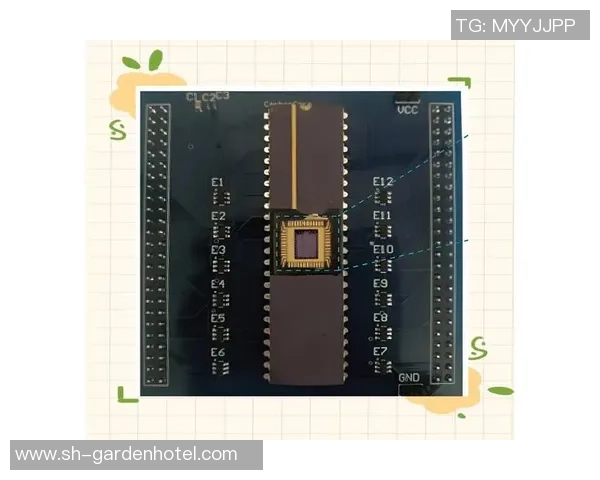 新宝GG碳基芯片技术引领未来电子产品创新与发展新潮流